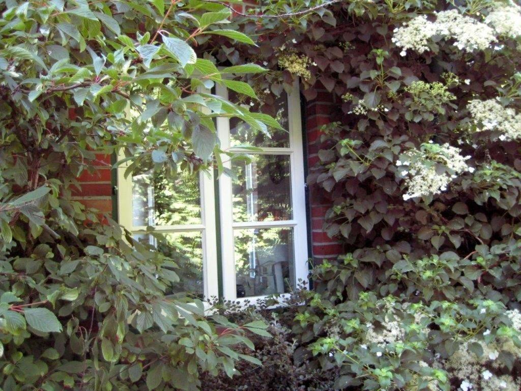Ferienhaus Marsch Auf Foehr Borgsum 外观 照片