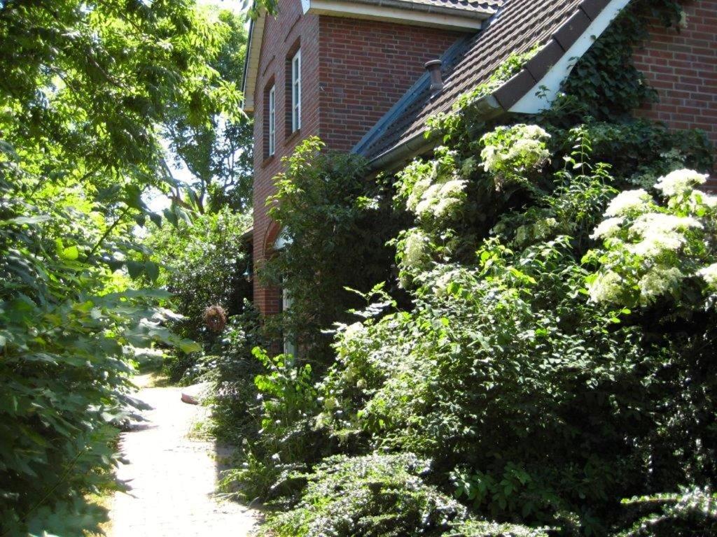 Ferienhaus Marsch Auf Foehr Borgsum 外观 照片